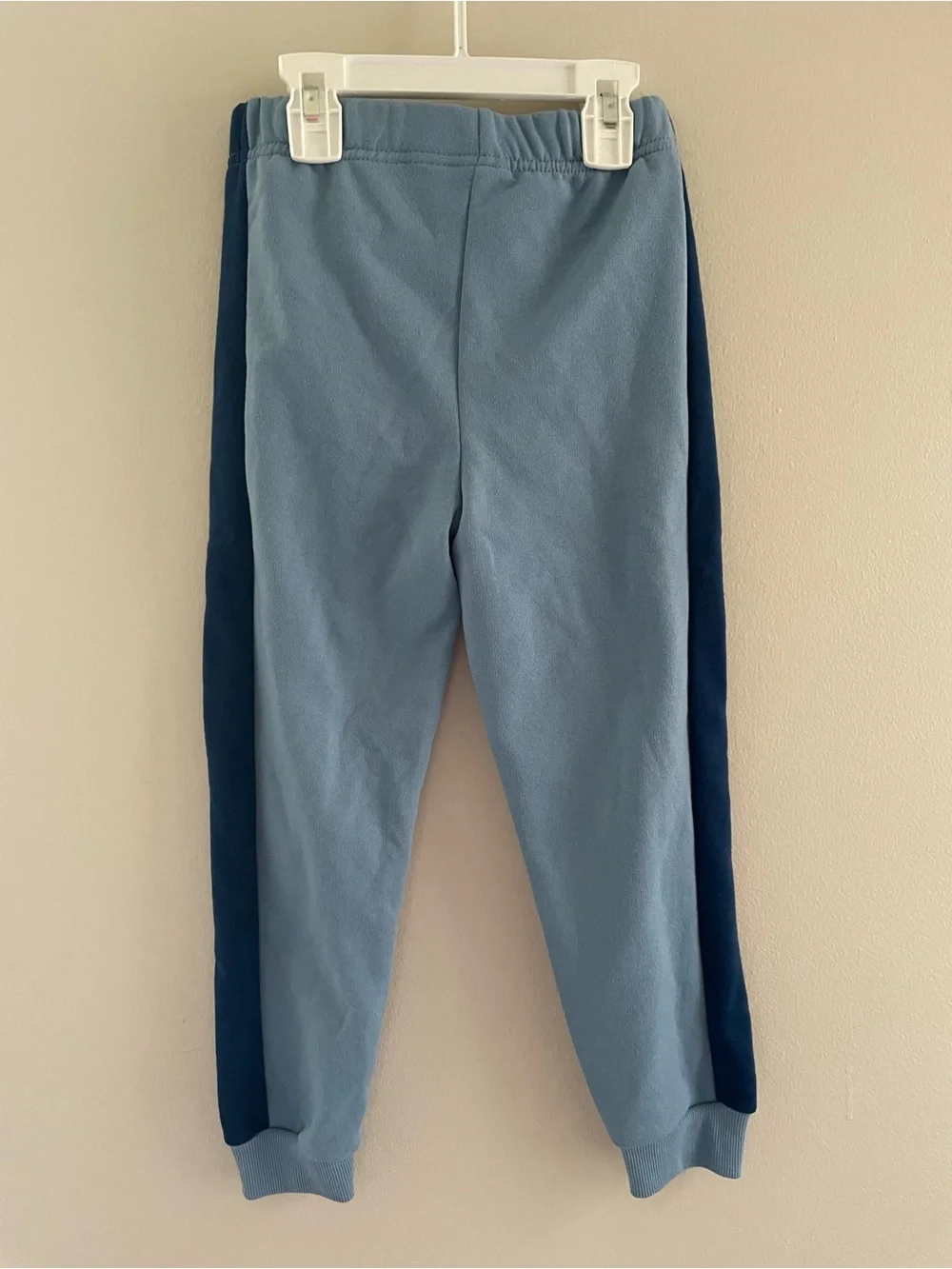 Toddler Boys NWT 5T Bluey and Bingo Hooded Sweat Pant Set